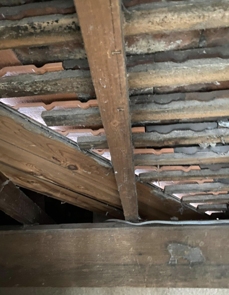 Does my attic need a lining???