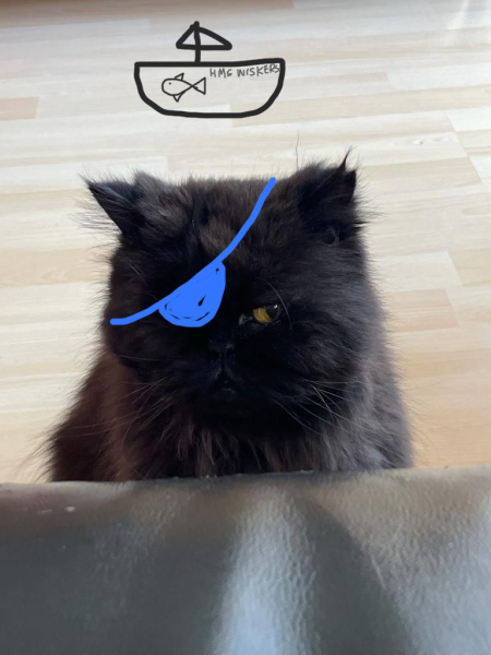 My pretty pirate!