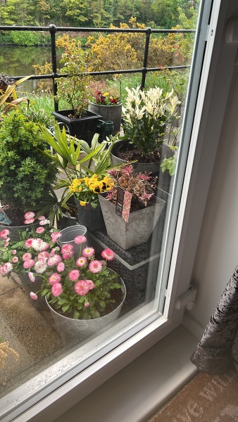 Cancer Support thread 86 - Stay Positive 