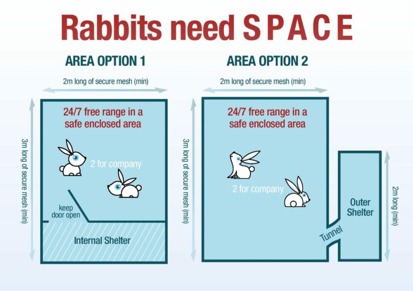 To want the rabbits to live inside
