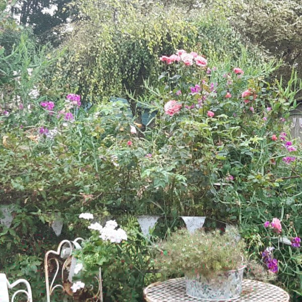 The lovely bit of your house