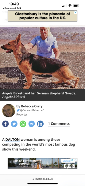 Are all German shepherds anxious reactive nutcases now? 