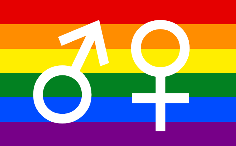 Gender critical pride flag?