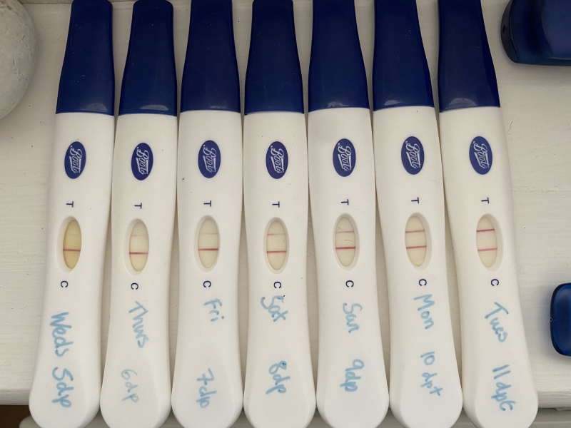 Due February 2024!