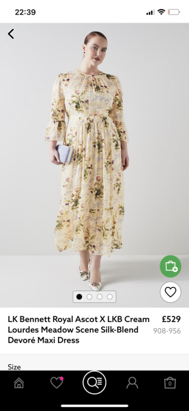 Wedding booked, no dress, please help me 