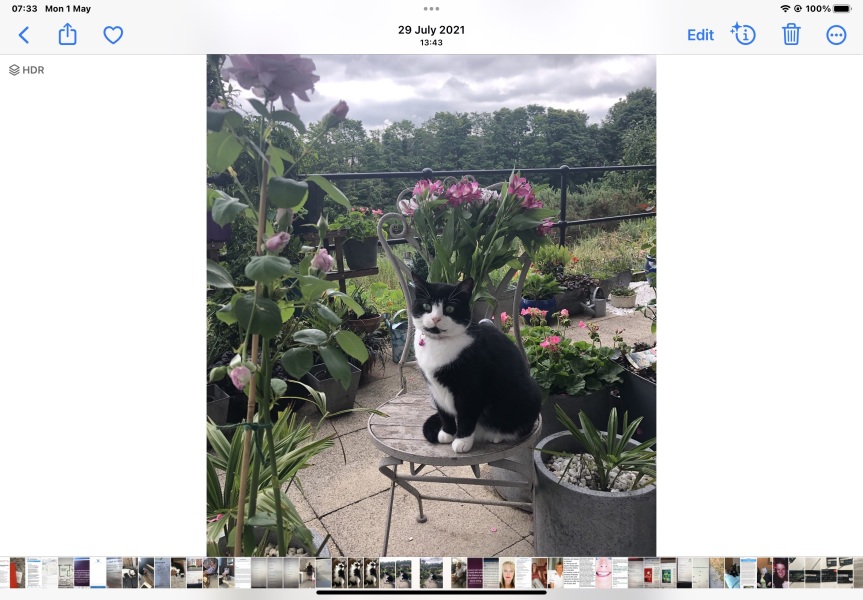 Cancer Support thread 86 - Stay Positive 