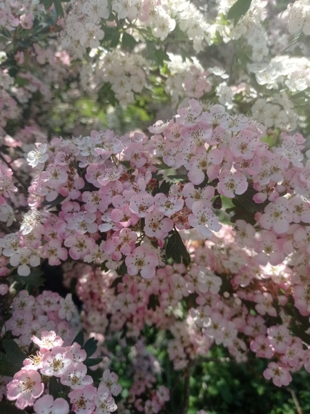 Frugaleers - let's finish out 2022 strong