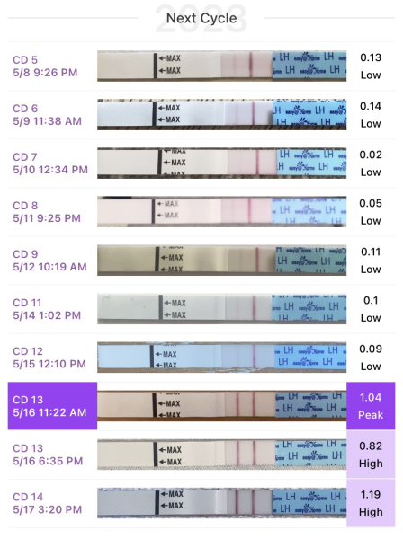 Anyone else TTC #1? Just looking for TTC buddies!