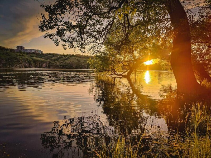 Ukraine Invasion: Part 39