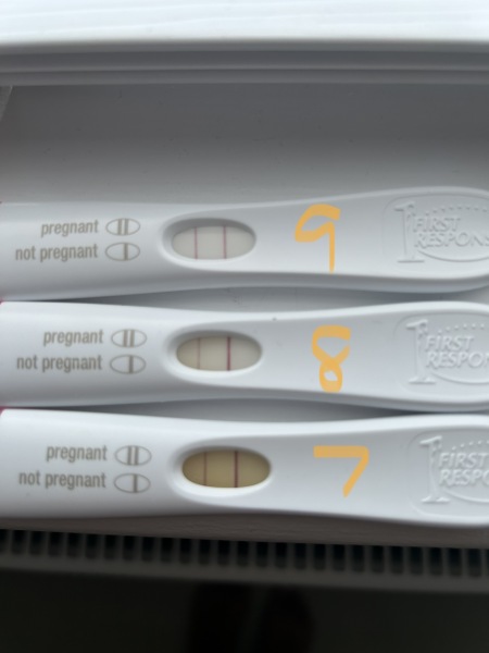 2 week wait ICSI