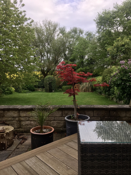The lovely bit of your house