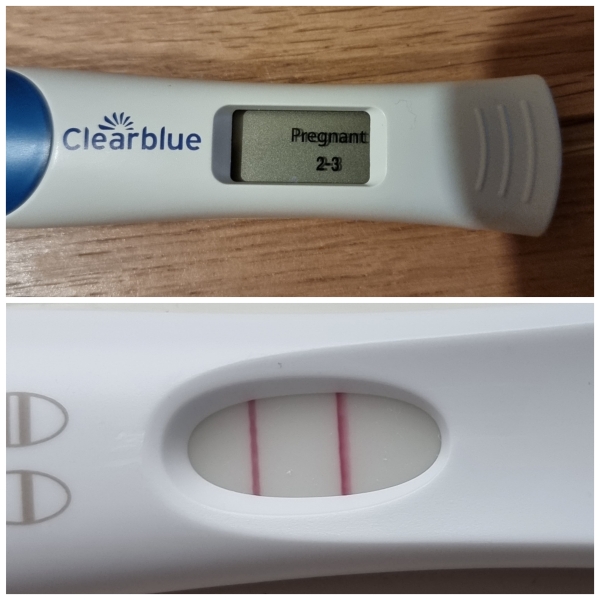 Due January 2024 🎉