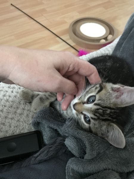 Meet baby Blossom 