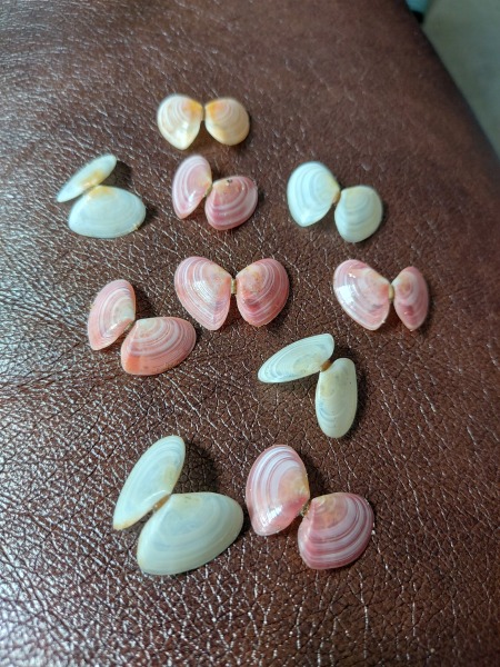 Any Witches Here?- Part 18