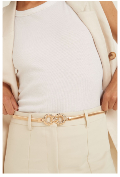 Anyone seen a belt - silver metallic, plus size?