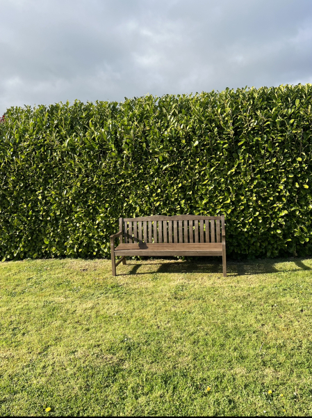 The lovely bit of your house