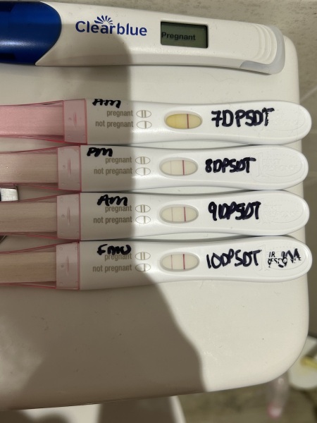 IVF April 2023