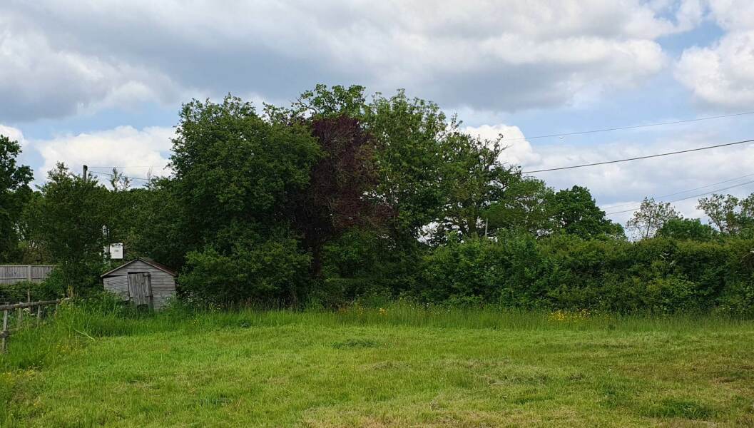 Are you doing 'no mow may' ?