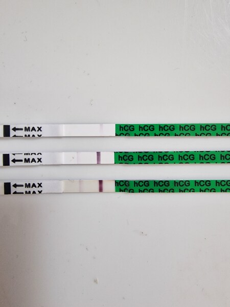 Pregnant straight after MMC? Anyone?