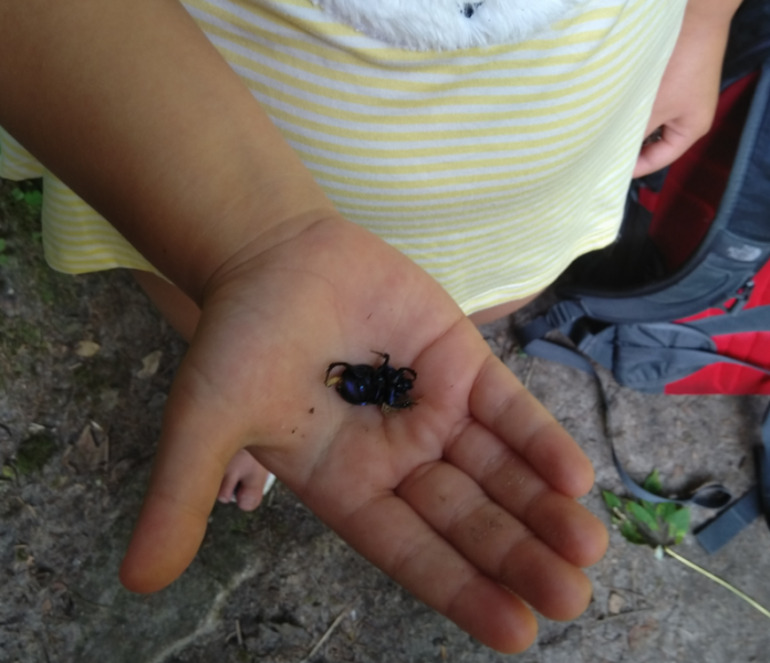 A Mumsnet thread about a book about a Mumsnet thread “Under the Duvet of Darkness” written by the women of Mumsnet