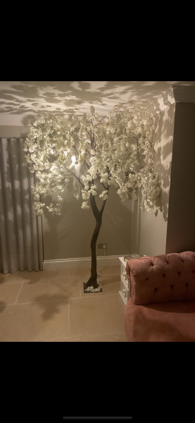 The lovely bit of your house