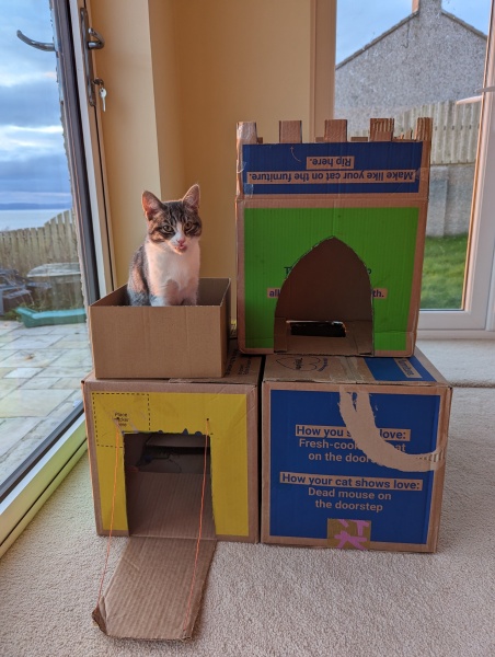 What's going on with my little kitten??