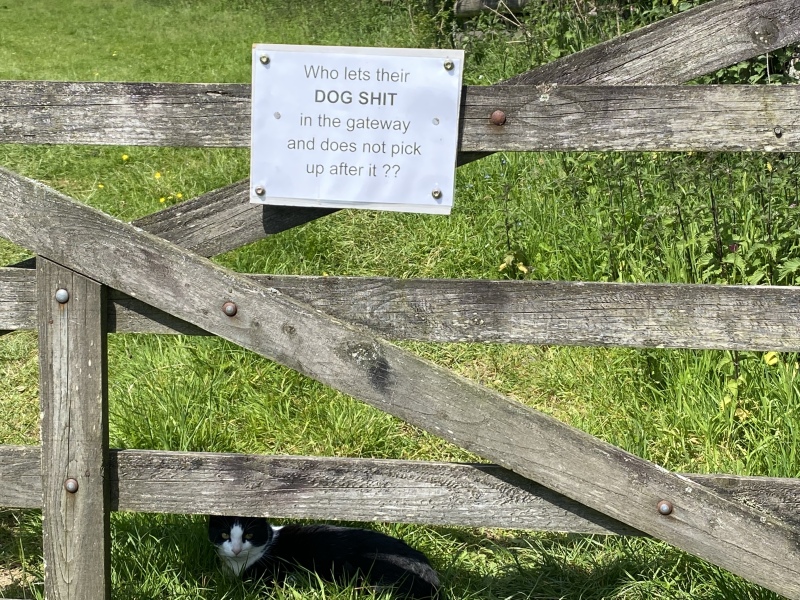 Dog poop at our gates