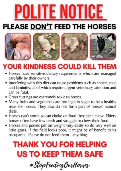 FFS DONT feed horses in fields !!