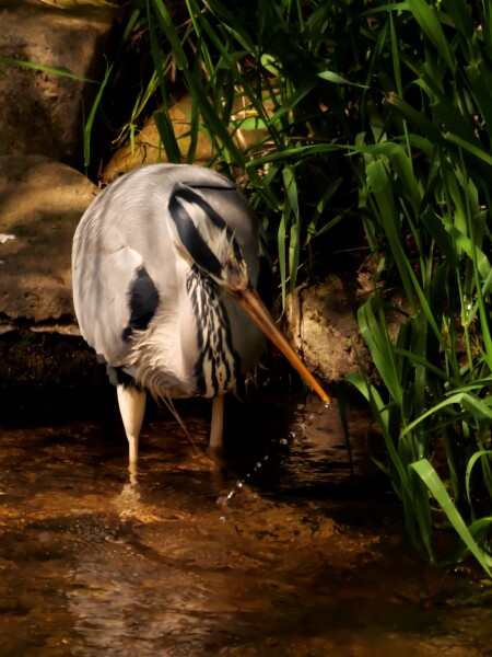 Thread 46 - GCSE Covid Cohort , Searching for Summer Solstice