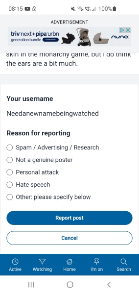 To think the Mumsnet coronation logo is quite mean?