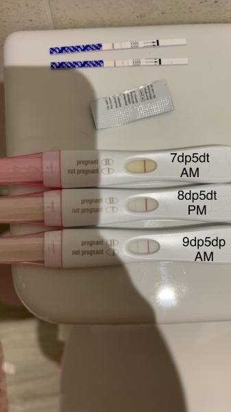 IVF April 2023