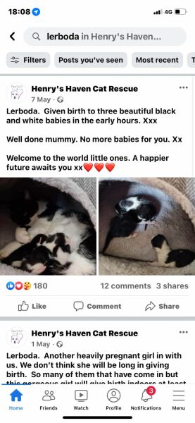 So kitten foster slaves it is the season.....
