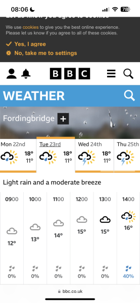 New Forest in the rain with two kids?