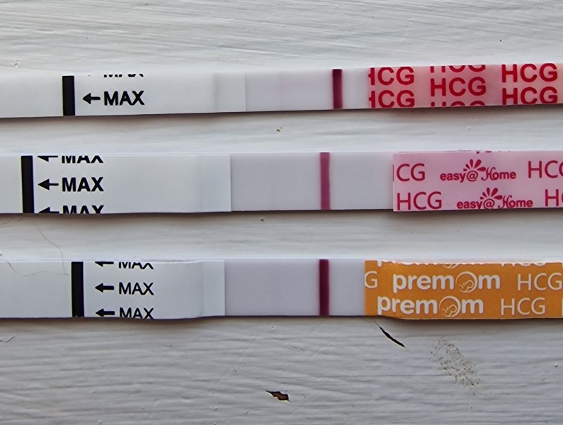 Anyone else TTC #1? Just looking for TTC buddies!