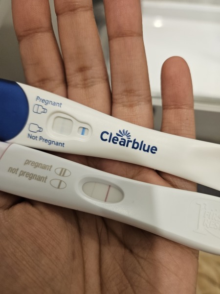 Due February 2024!
