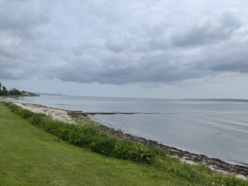 Pancreatic and liver cancer