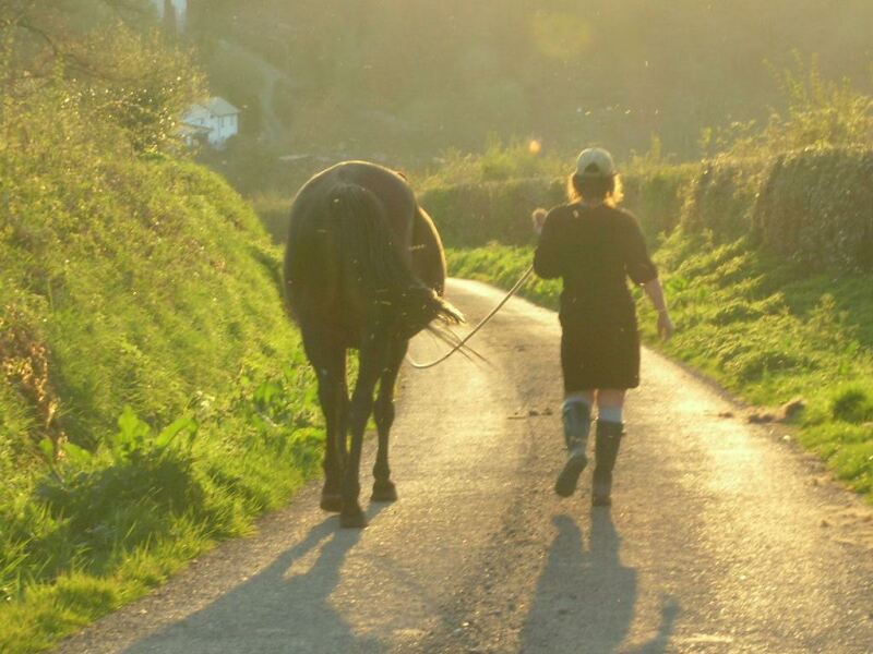 Thread 7 - TalkLair: “In fact it’s an oblate spheroid”