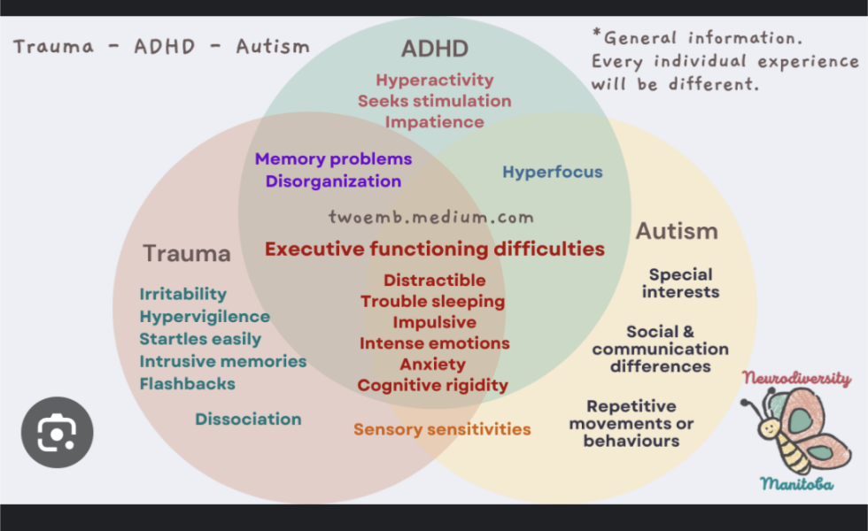 I am an "autism expert". Ask me anything.
