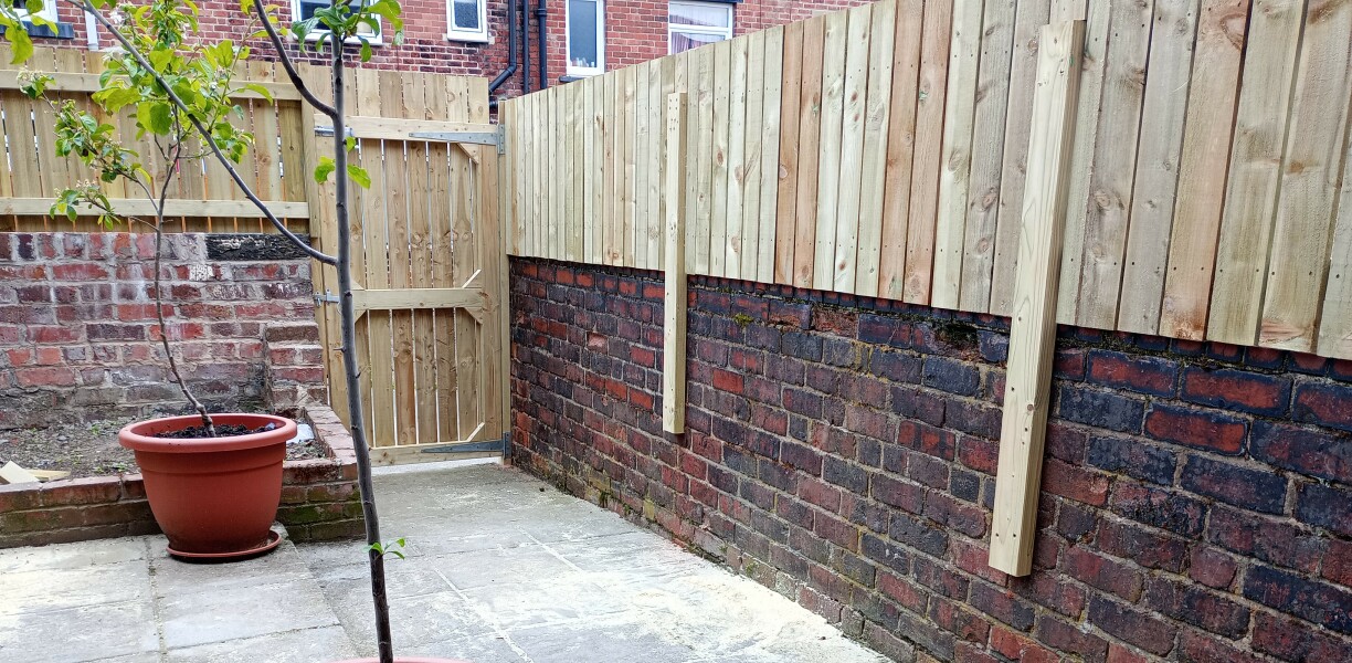 To paint my new fence purple?