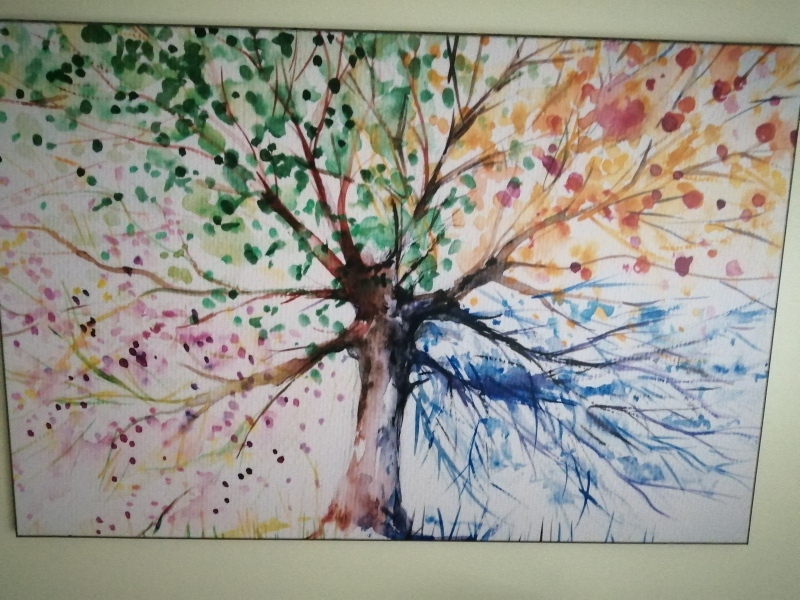 What do you think of this picture.