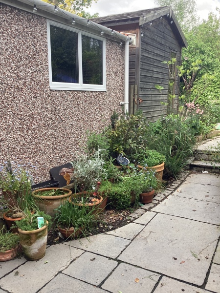 What have you done in the garden today?