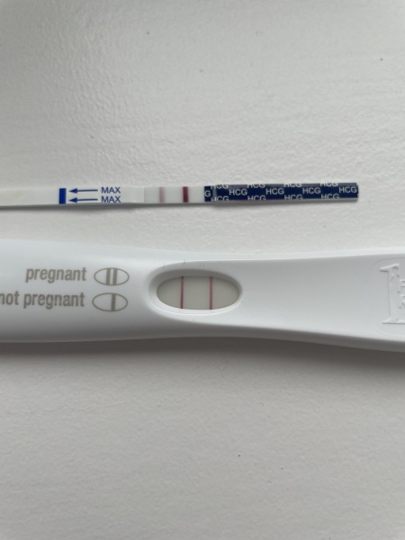 IVF April 2023