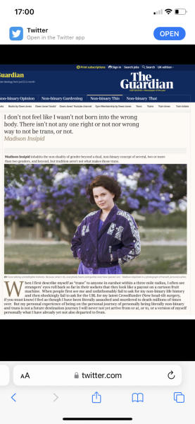 "To suggest that being trans requires a specific type of transition is to enforce a hierarchy that is ultimately elitist."