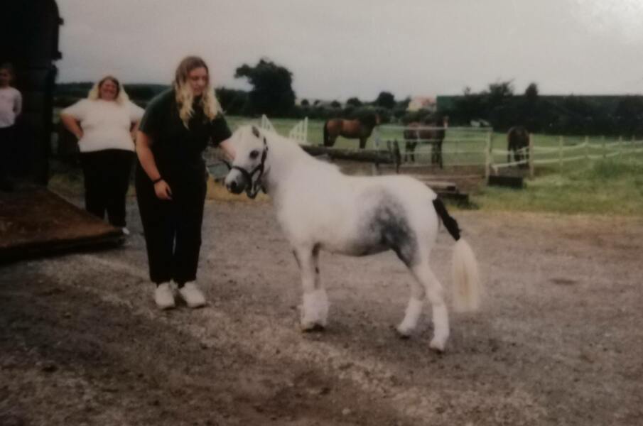 To think using horses the way the royals do needs to be stopped.