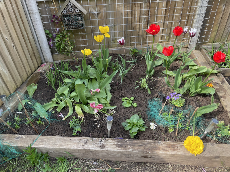 Cancer Support thread 86 - Stay Positive 