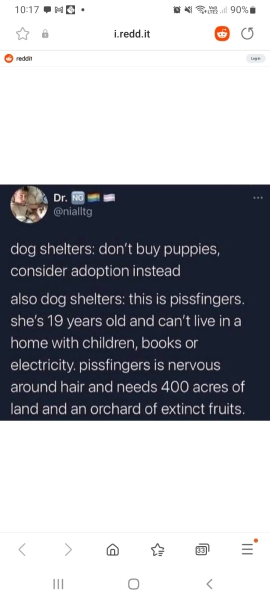 To think there must be another way? Dog shelters