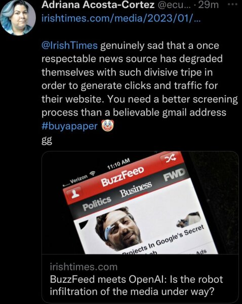 Anyone following the Irish Times AI controversy?