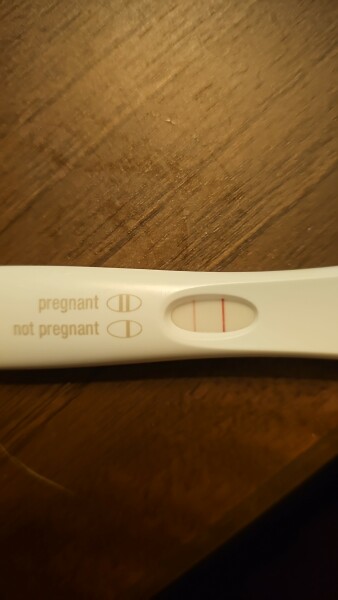 IVF April 2023