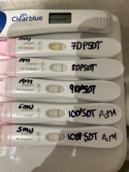 IVF April 2023