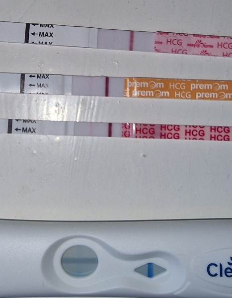 Anyone else TTC #1? Just looking for TTC buddies!